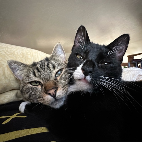 Flores, M. - Picture 4 of 6